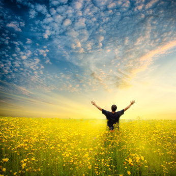 Living Awake!