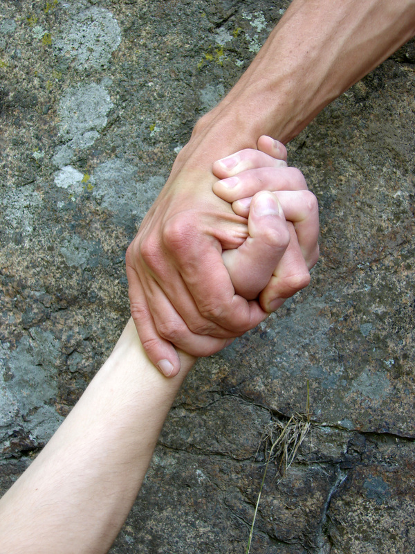 The Neighbor’s – Short Story