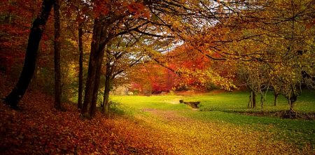 Spirituality and the Sense of Smell