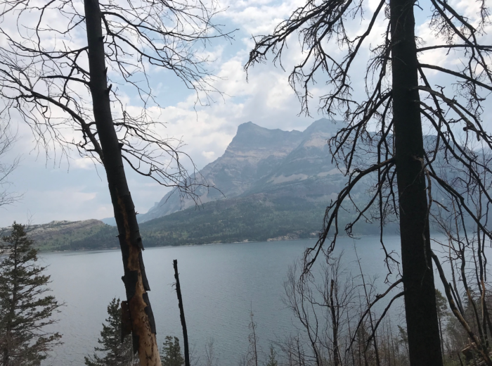 Lessons From a Burnout