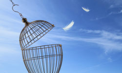 Divine Love is… Free