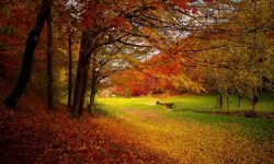 Spirituality and the Sense of Smell