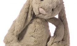 The Lesson I have Learned from a Stuffed Rabbit