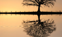 Be Still