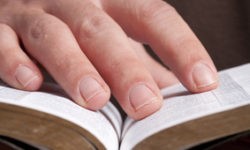 Renovated by the Word: Scriptures
