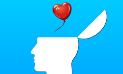 From your Head to your Heart