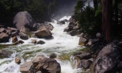 Stepping Stones – A Soulful Exercise
