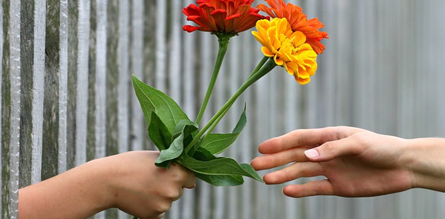 Being our Best Empath Self