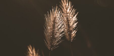 A Theology of Love: Open and Relational Theology and Spiritual Direction