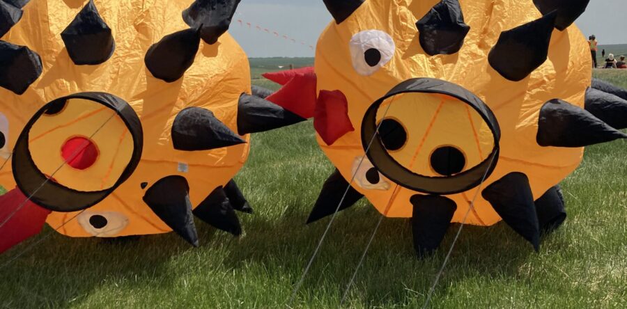 I Fly Kites
