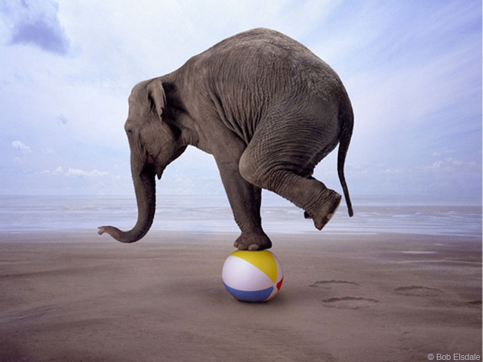 How Stable is your Organization?