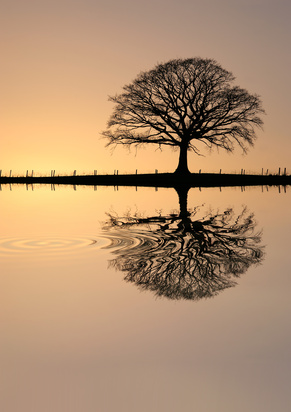 Be Still