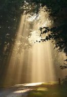 Light Dispels Darkness