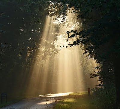 Light Dispels Darkness