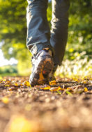 Follow Jesus – On the Way