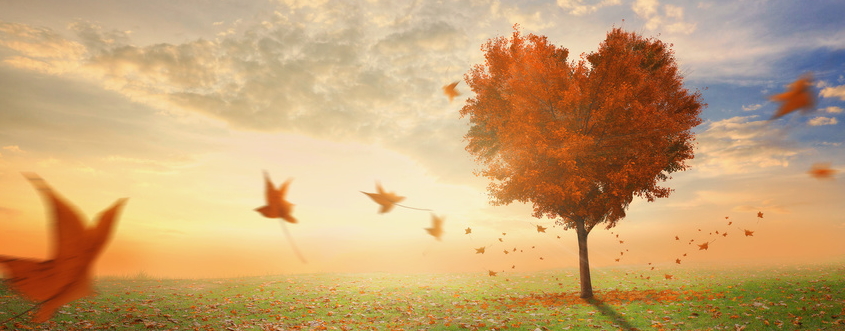 O Love, Divine Love