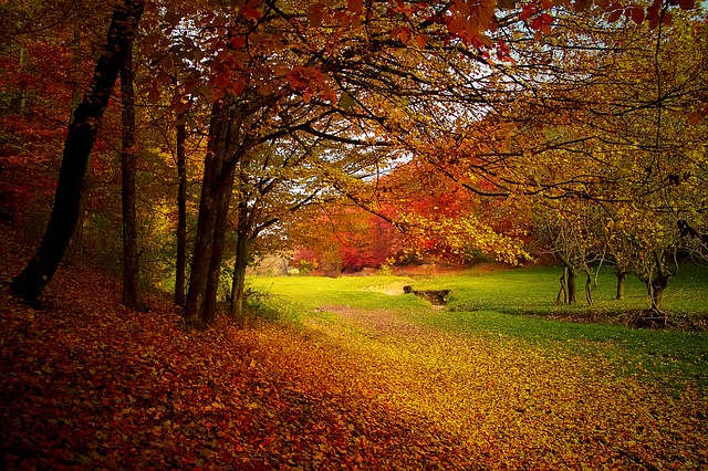 Spirituality and the Sense of Smell