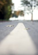 The Radical Middle.  Healthy Faith in a World of Extremes