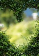 Healing through Love