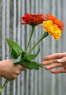 Being our Best Empath Self
