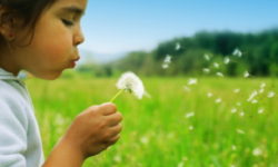 Prelude to Deeper Life: Vulnerability