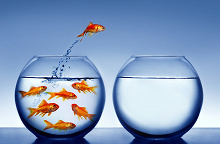 Wholeness: Faith in Real Life