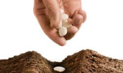 Wholeness: Thoughts and Actions