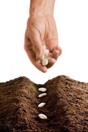 Wholeness: Thoughts and Actions