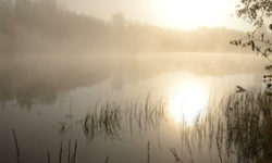 Be Empty and Know – Spiritual Disciplines