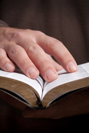 Renovated by the Word: Scriptures