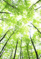 Sun behind all suns – Prayer