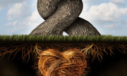 Being Acceptable to God: Holiness in Real Life