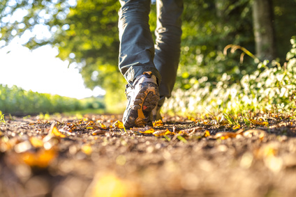 Follow Jesus – On the Way