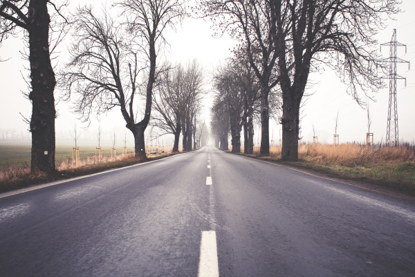 Blind Faith – Merton’s Prayer