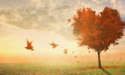 O Love, Divine Love