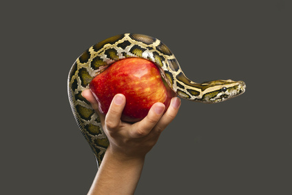 When We Understand it Wrong – Scripture
