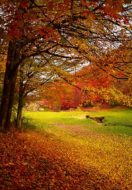 Spirituality and the Sense of Smell