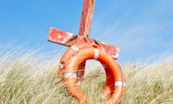 Christ Climbed Down