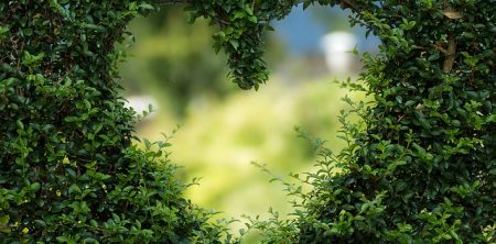 Healing through Love
