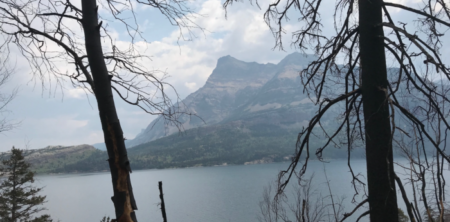 Lessons From a Burnout